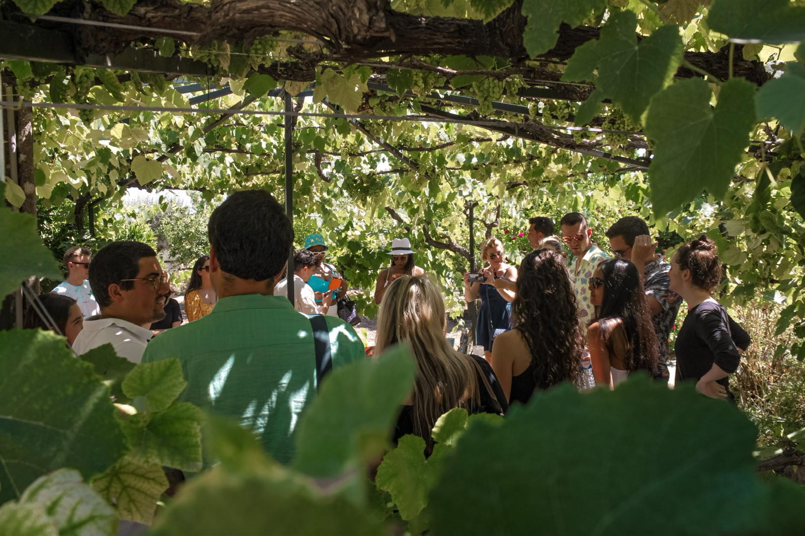 Corporate celebration event in Arrábida Natural Park